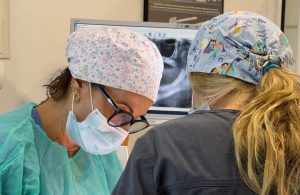 Colocación de prótesis dental removible sobre implantes