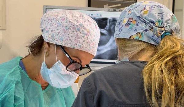 Colocación de prótesis dental removible sobre implantes